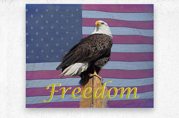 American Freedom  Metal print