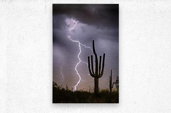 Sonoran Desert Monsoon Storming  Metal print