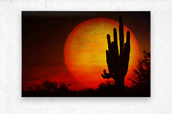 Big Sun Saguaro Sunset  Metal print