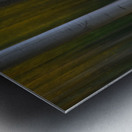 Forest Wilderness Wonderland Abstract  Photo Art Metal print