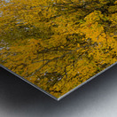 Inviting Autumn Hiking Trail Impression metal