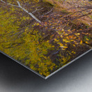 Rustic Log Bridge in Golden Autumn Forest – Serene Fall Creek  Metal print