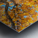 Golden Autumn Glow Under a Blue Sky Metal print
