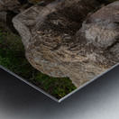 Boulder Canyon Paradise Impression metal