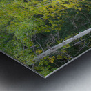 Tranquility on the Stream  Metal print