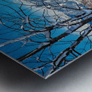 Boulder Colorado Winter Season Scenic View Metal print