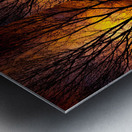 Sunset Tree Silhouette Abstract 4 1 Metal print