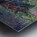 Arizona Desert Forest Impression metal