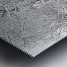 Three Trees Metal print