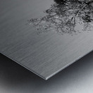 Boulder Colorado in Black and White Metal print