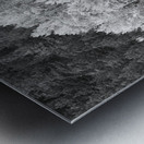 Autumn Grazing Horses Bonanza Impression metal