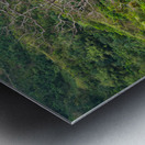  A Bare Tree Amidst Lush Hills Solitary Sentinel Metal print