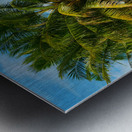 Stunning Palm Trees Swaying on the Shores of Negros Oriental Metal print