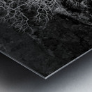 Majestic Solitude of a Bare Tree in Black and White Metal print