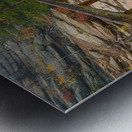 Rustic Wood Hiking Bridge Crossing Metal print