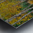 Happy Place In The Woods Metal print