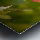 Maple Leaf Metal print