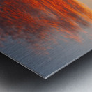  Fiery Arizona Sunset Behind a Silent Saguaro Metal print