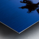 Palm Shadows Dancing in the Colors of Dusk Impression metal