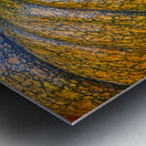 Pumpkin Close Up Fine Art Photography Wall Art Print Impression metal