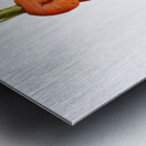 Dancing Carrot Wall Art Impression metal