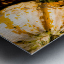 Natures Mosaic An Autumn Harvest Metal print