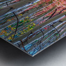 Mystic Red Autumns Fiery Carpet Aspen Grove in Fall Metal print