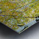 Radiant Autumn Forest Landscape in Gold and Red Metal print