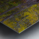 Tranquil Autumn Creek in a Rocky Mountain Forest Metal print