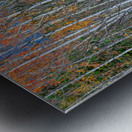 Aspen Grove Symphony Autumns Embrace Impression metal