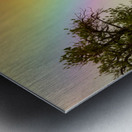 Where The Rainbow Meets The Earth Impression metal