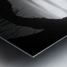 Whispers of Trees and Meadows at Sunrise in Black and White Impression metal