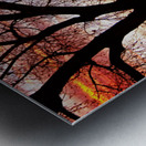 Colorado Sunset with Twin Peaks and Tree Silhouette Metal print