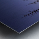 Yellowstone National Park wildfire aftermath Impression metal