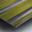 Aspen Light in Motion Fine Art Forest Metal print