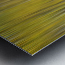 Somewhere Along The Road Dreaming Abstract Aspen Forest Fine Art Metal print