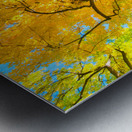 Golden Autumn Tree - Majestic Trunk and Leaves in Fall Splendor Impression metal