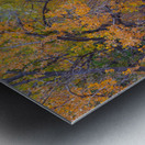 Autumns Enchantment - The Country Road Canopy Metal print