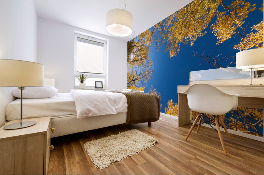 Sunny Day Mural print