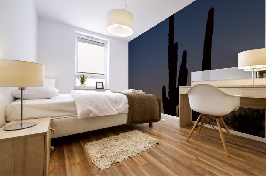 Sonoran Desert Sunrise Mural print