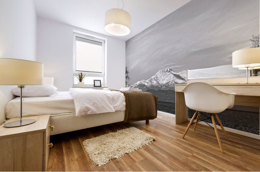 Twin Peaks Between The Trees BW Panorama Mural print