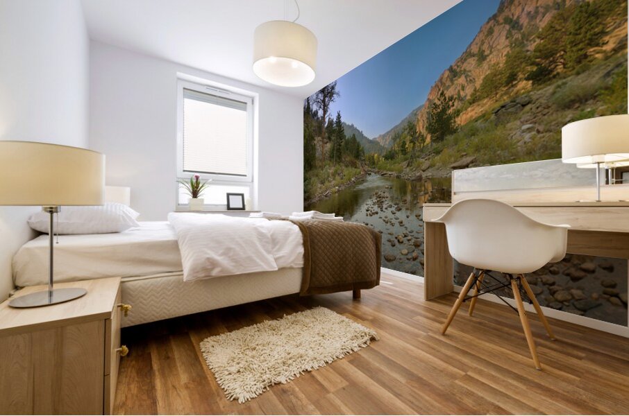 South St Vrain Canyon Streaming Mural print