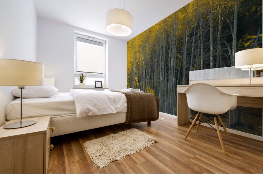 That  Morning Autumn Light Mural print