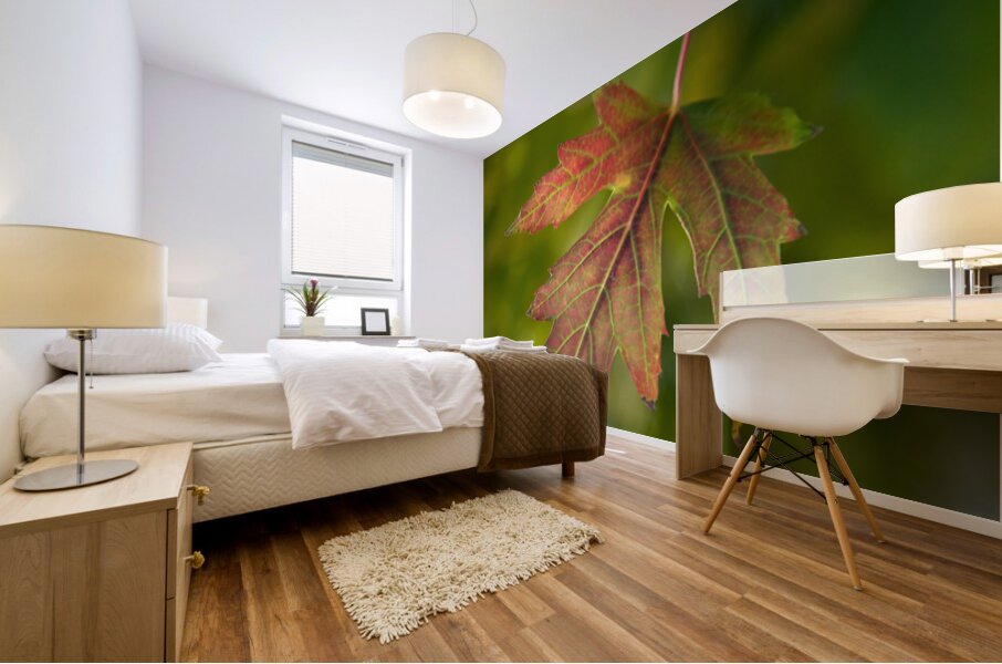 Maple Leaf Mural print