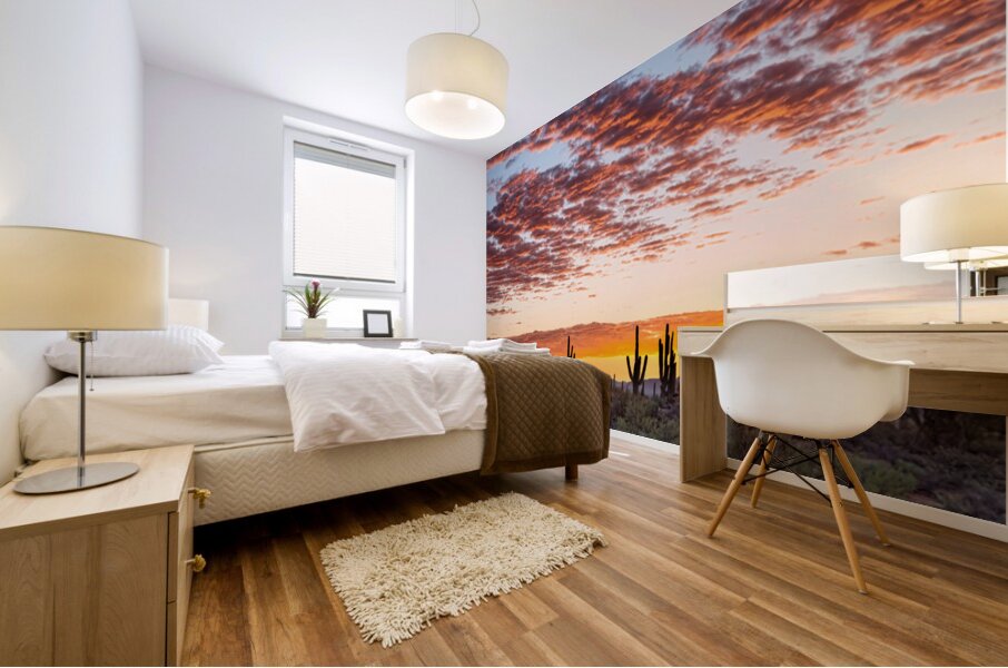 Colorful Sonoran Desert Sunrise Mural print