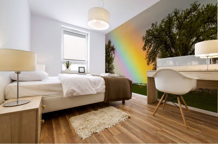 Where The Rainbow Meets The Earth Mural print