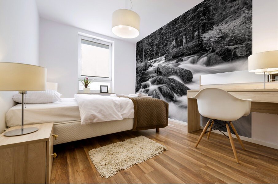 Cascade of Silver Silence Roosevelt Forest Mural print