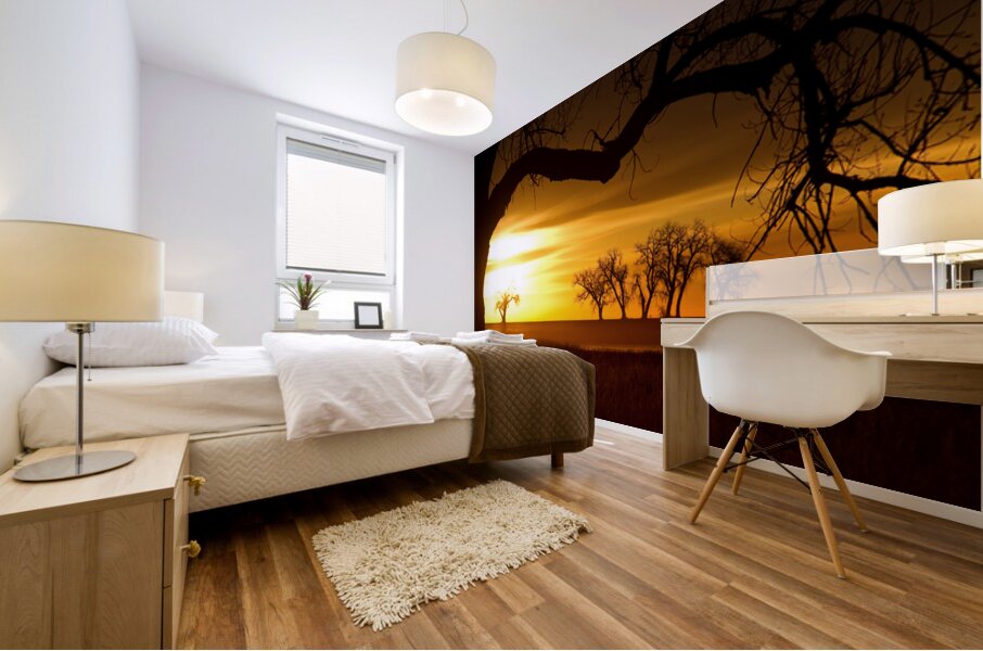 Golden Sunrise with Silhouetted Trees in Meadow Mural print