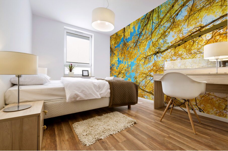 Colorado Aspen Kaleidoscope Mural print