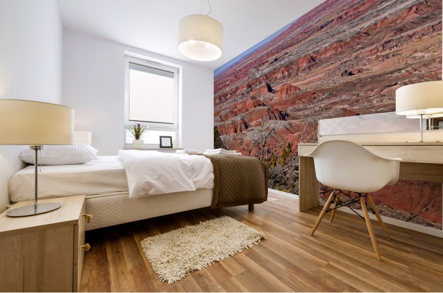 Painted Desert Horizons Arizona Mural print